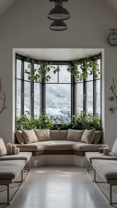Bay Windows